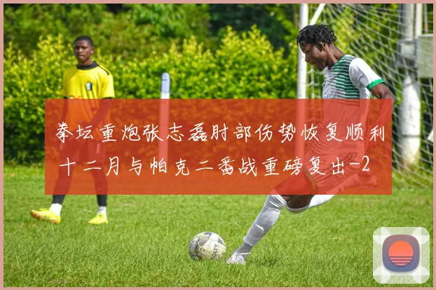 拳坛重炮张志磊肘部伤势恢复顺利 十二月与帕克二番战重磅复出