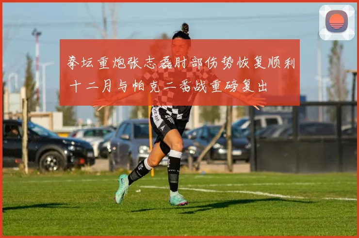 拳坛重炮张志磊肘部伤势恢复顺利 十二月与帕克二番战重磅复出